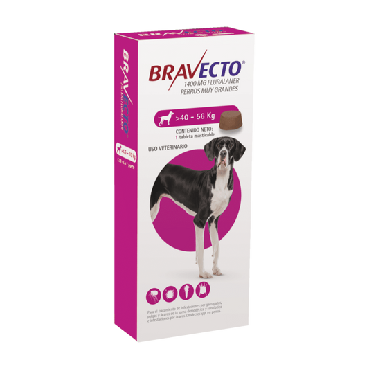 Bravecto 1400 mg (40kg - 56kg)