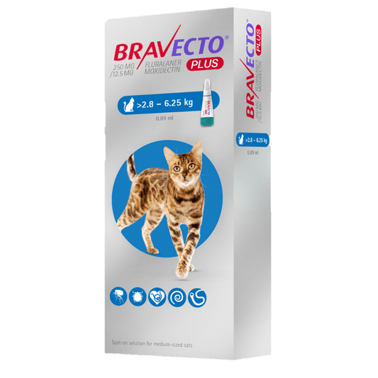 Bravecto Plus 250 mg (2.8kg - 6.25kg)