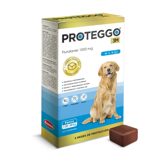 Proteggo 3M X 1000 MG X 1 TAB (20 a 40 kg)